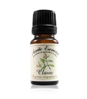 A. E. CLAVO 12 ml Labiatae