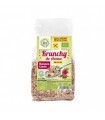 KRUNCHY AVENA BIO MANZ CANELA S/G 350gr SolNatural