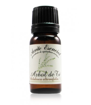 Aceite Esencial de Árbol del Té