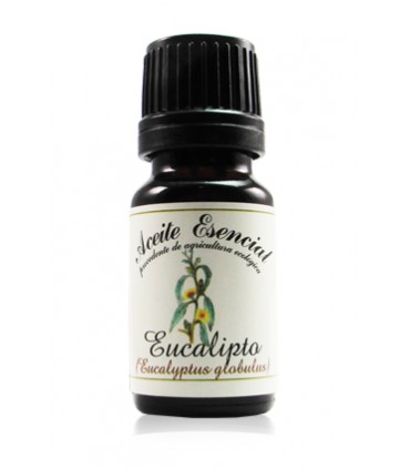 A. E. EUCALIPTO 12 ml Labiatae