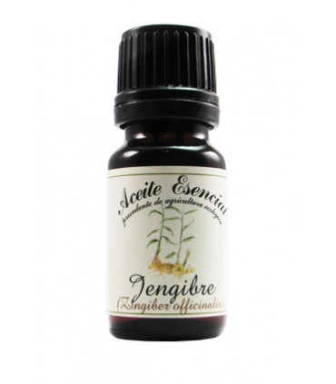 A. E. JENGIBRE 12 ml Labiatae