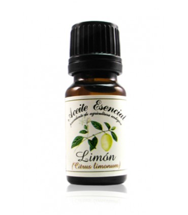 A. E. LIMON 12 ml Labiatae