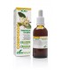 COMPOSOR 03-HEPAVESICAL COMPLEX XXI SORIA NATURAL