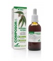 COMPOSOR 12-EUCALYPTUS COMPLEX XXI SORIA NATURAL