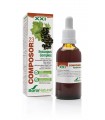 COMPOSOR 23-HYSSOPUS COMPLEX XXI SORIA NATURAL