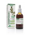 COMPOSOR 24-DIURACIN COMPLEX XXI SORIA NATURAL